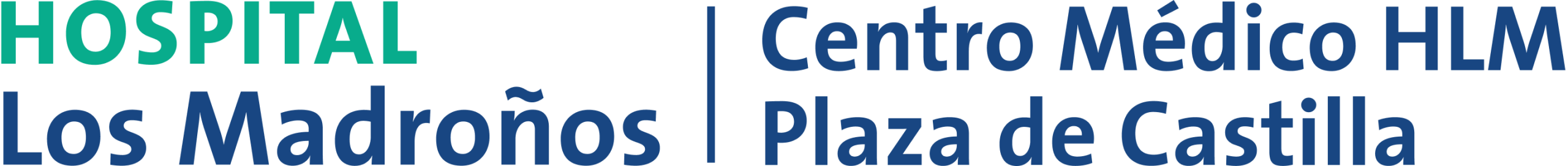 logo footer